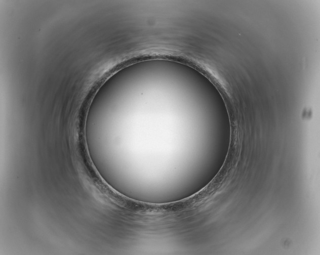 X0000091850631200709050936