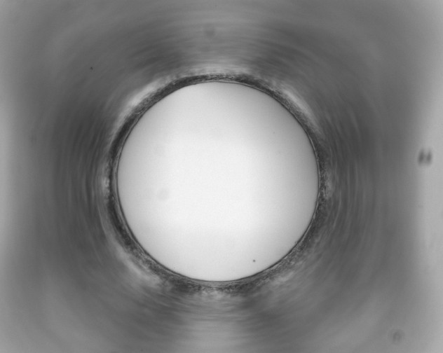 X0000091850632200709050936