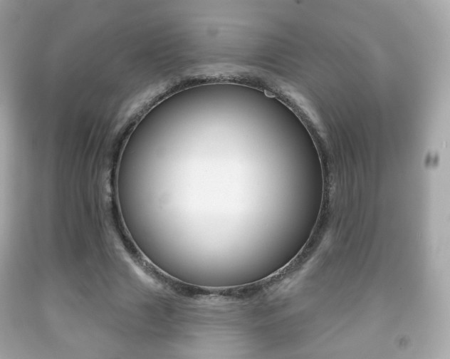 X0000091850633200709050936