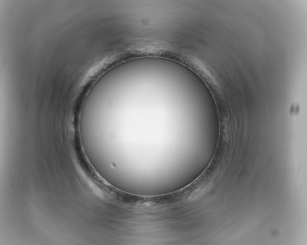 X0000091850634200709050936