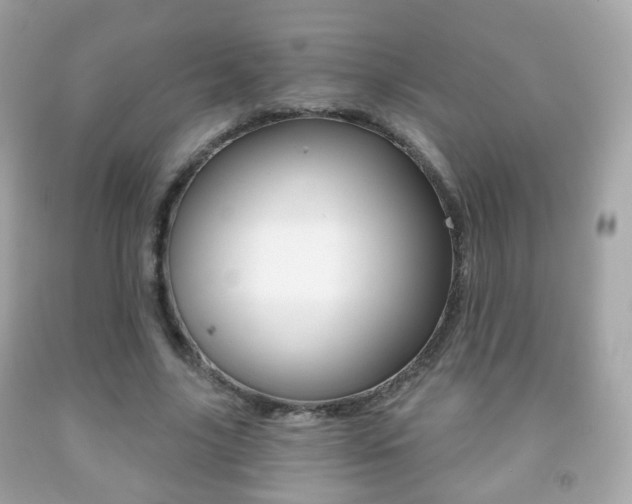 X0000091850635200709050936