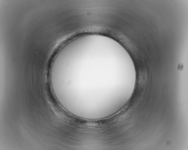 X0000091850636200709050936