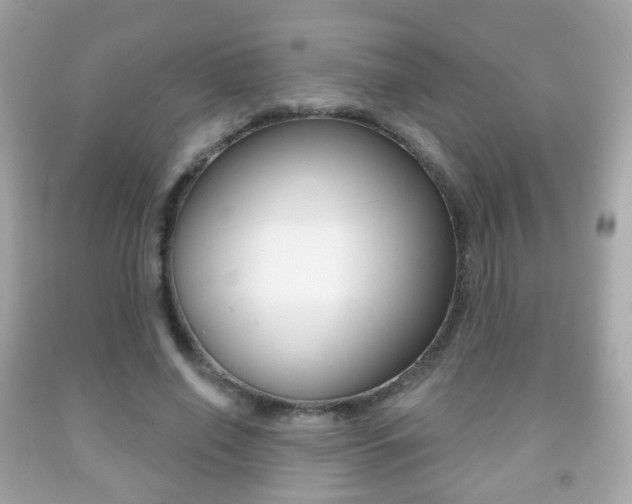 X0000091850638200709050936