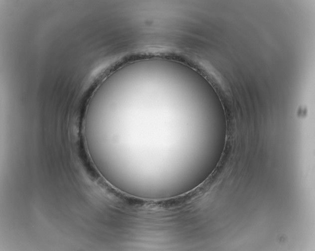 X0000091850640200709050936