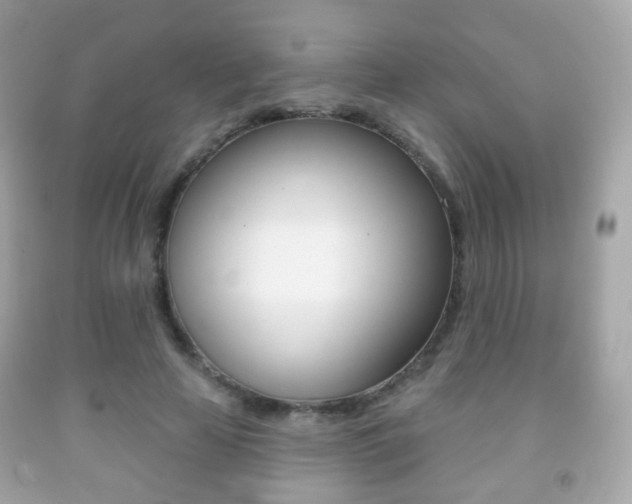X0000091850641200709050936