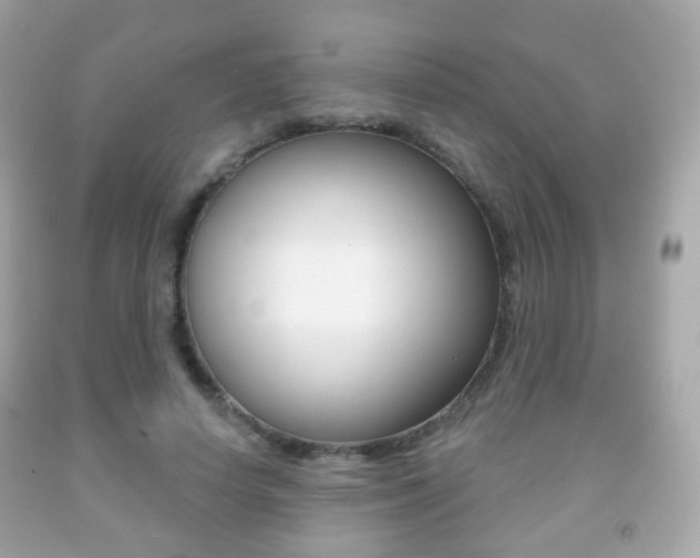X0000091850642200709050936
