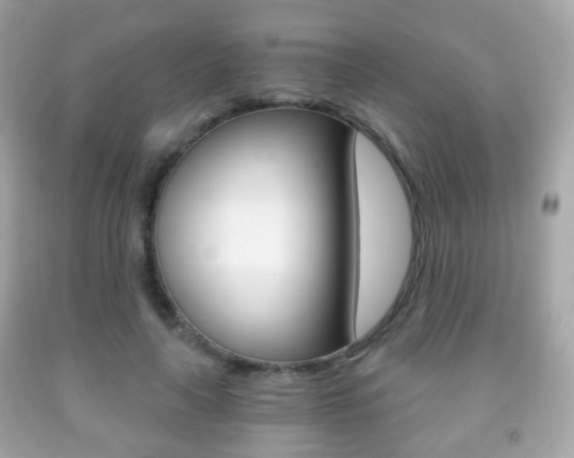 X0000091850643200709050936