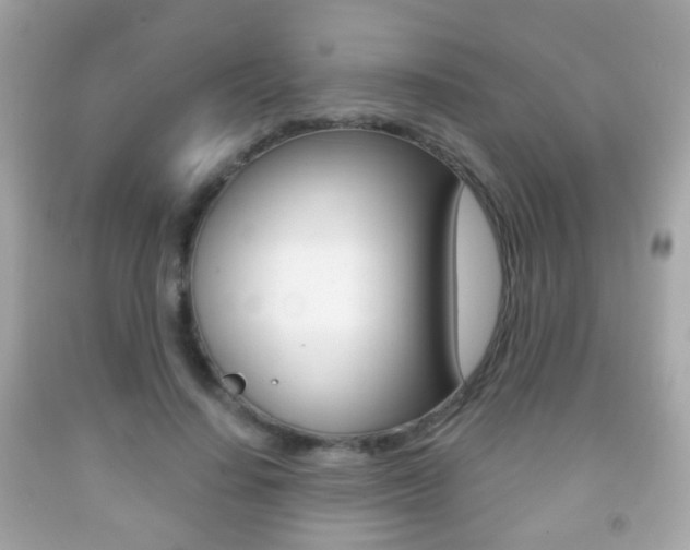 X0000091850644200709050936