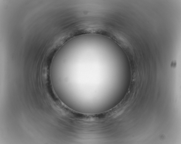 X0000091850646200709050936