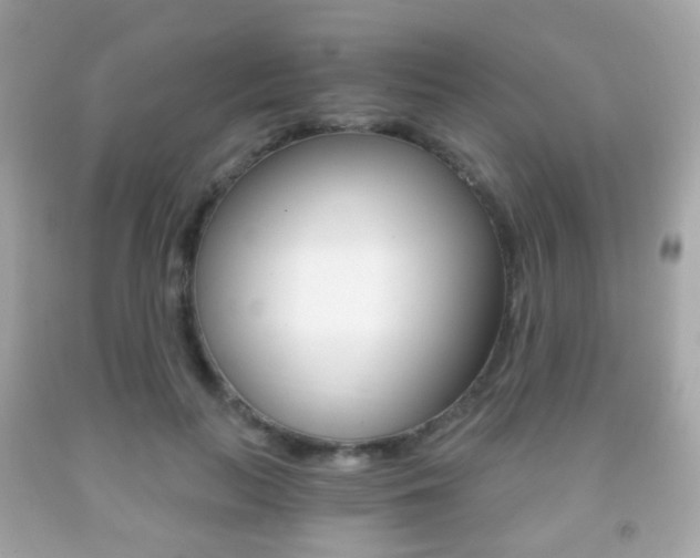 X0000091850647200709050936