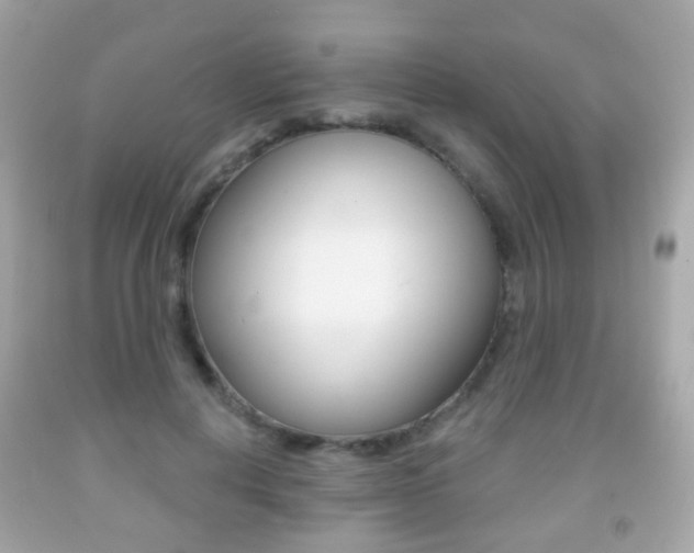 X0000091850648200709050936
