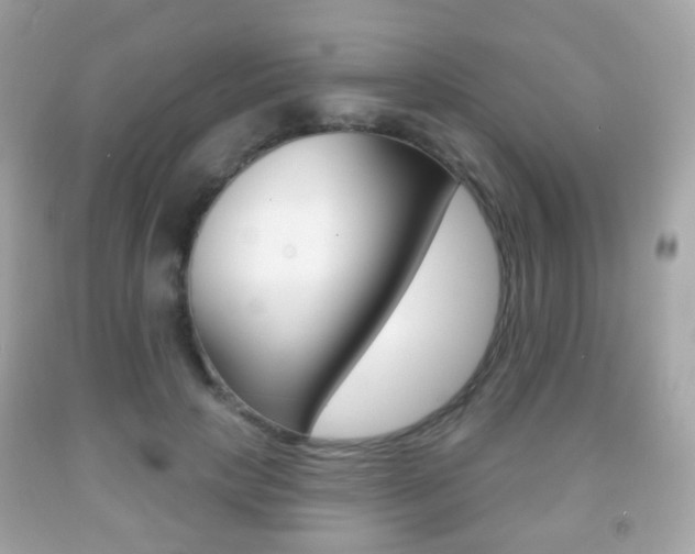 X0000091850649200709050936