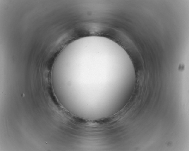 X0000091850650200709050936