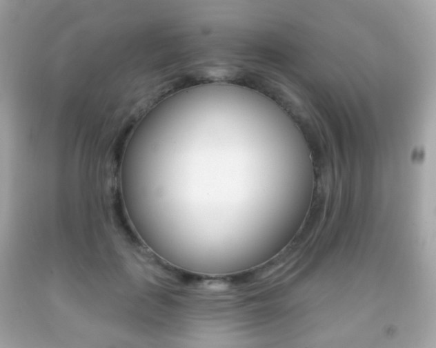 X0000091850651200709050936