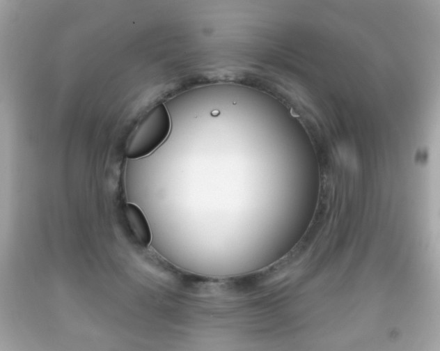 X0000091850652200709050936