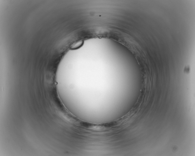 X0000091850654200709050936