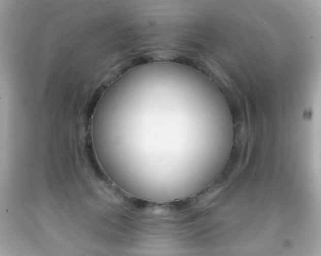 X0000091850655200709050936