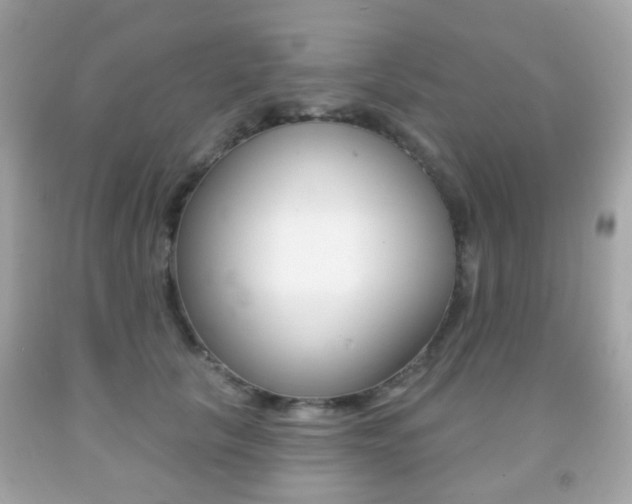 X0000091850657200709050936