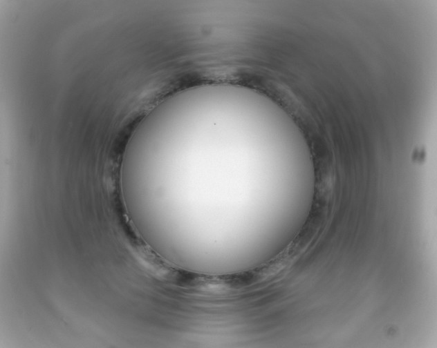 X0000091850658200709050936
