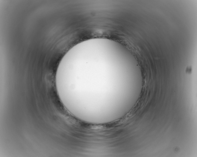 X0000091850659200709050936