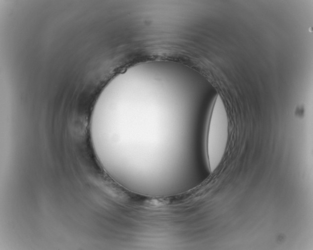 X0000091850660200709050936