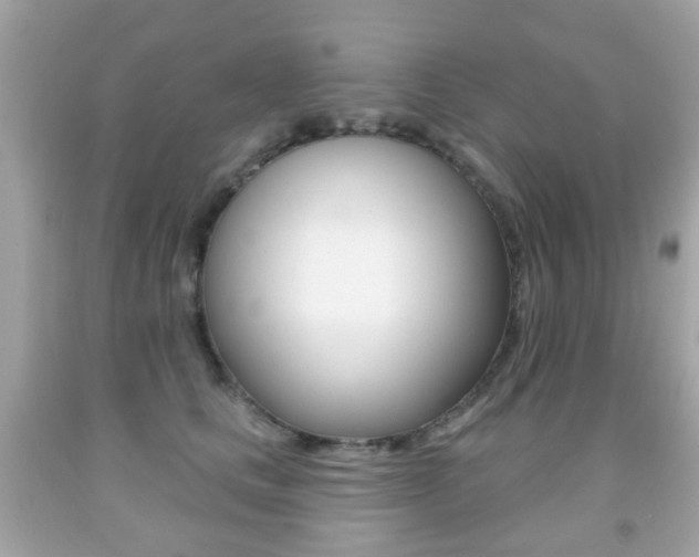 X0000091850661200709050936