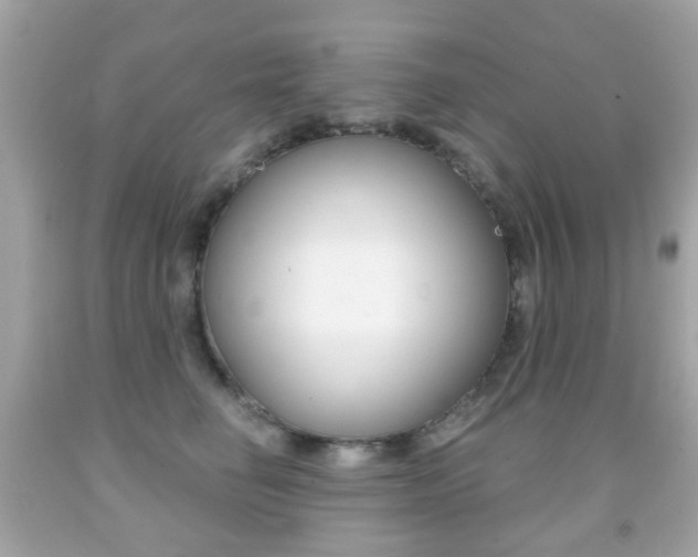 X0000091850662200709050936