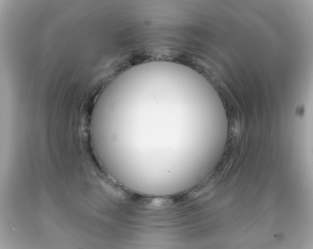 X0000091850663200709050936