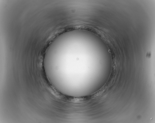 X0000091850664200709050936