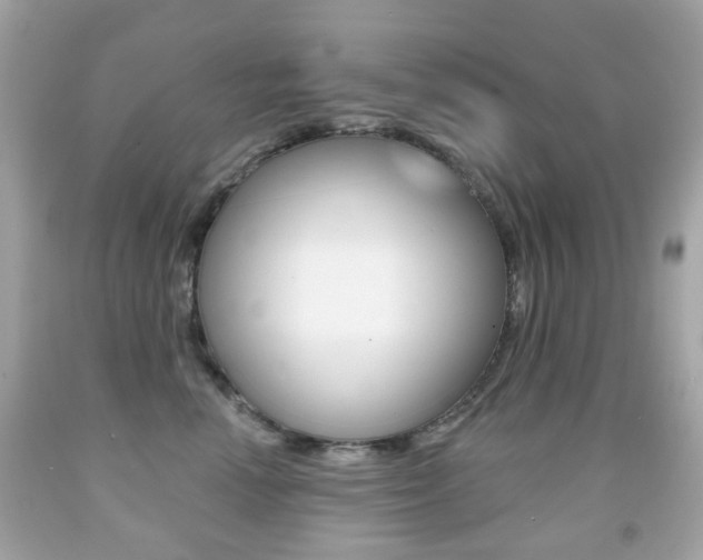X0000091850666200709050936