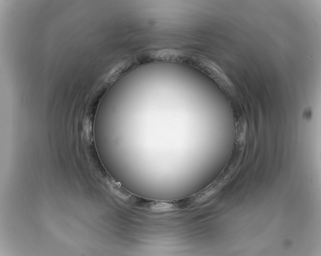 X0000091850669200709050936