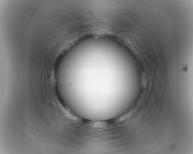 X0000091850670200709050937