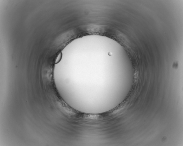X0000091850671200709050937