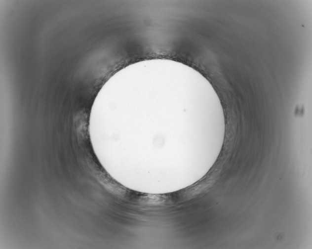 X0000091850672200709050937