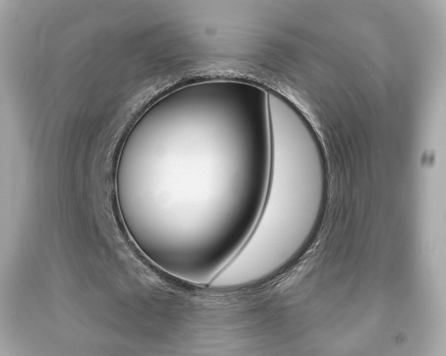X0000091850673200709050936
