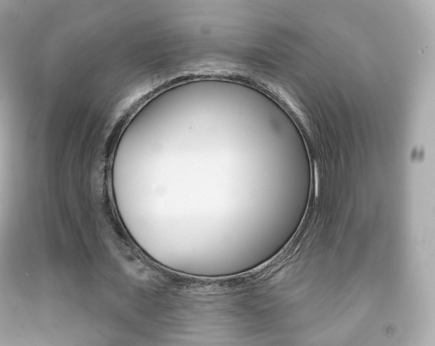 X0000091850675200709050936