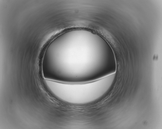 X0000091850676200709050936