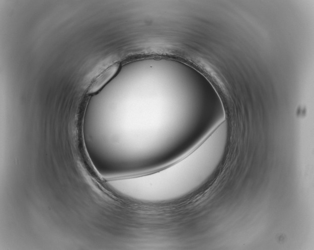 X0000091850677200709050936