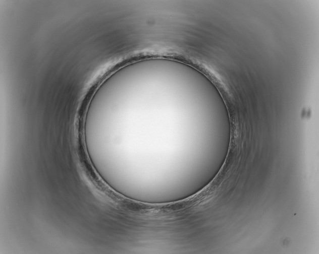 X0000091850678200709050936