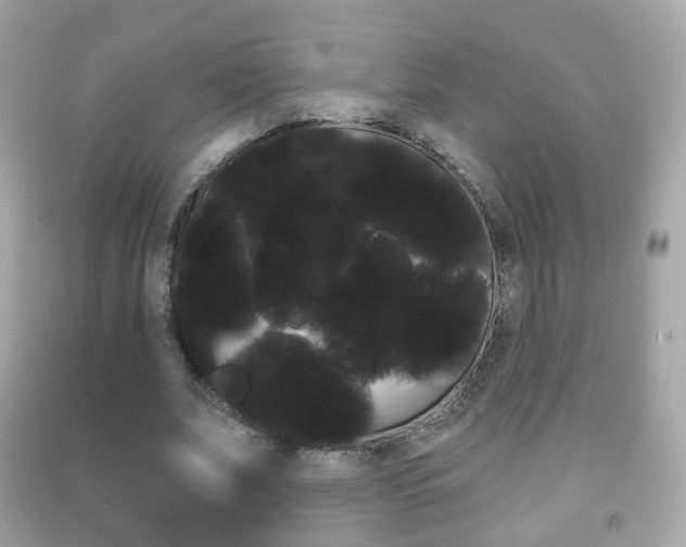 X0000091850679200709050936