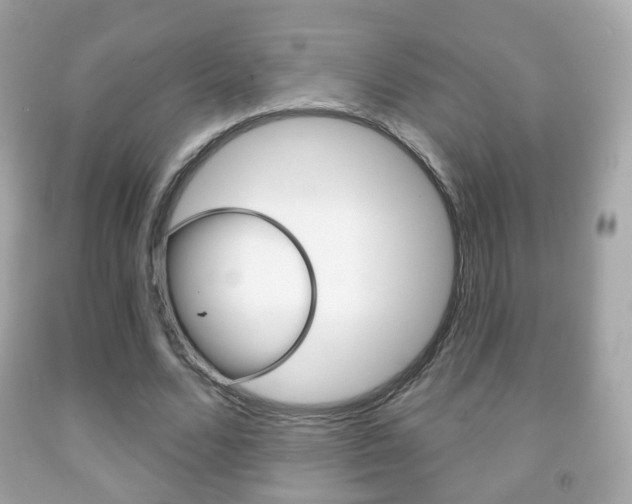 X0000091850680200709050936