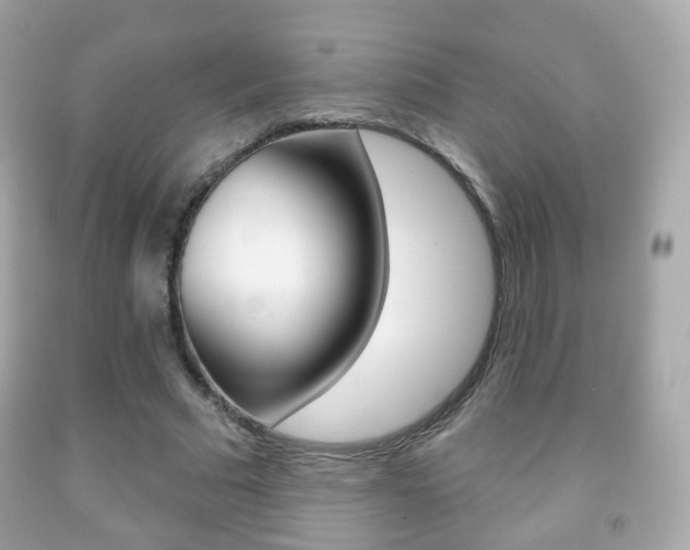 X0000091850681200709050936