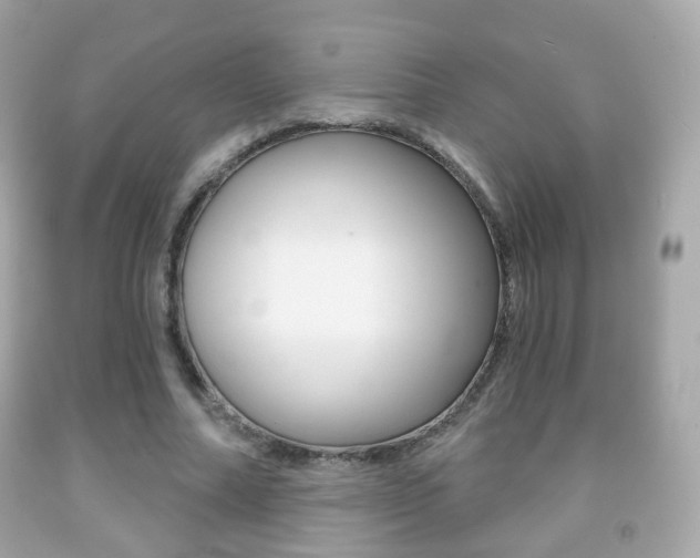 X0000091850682200709050936