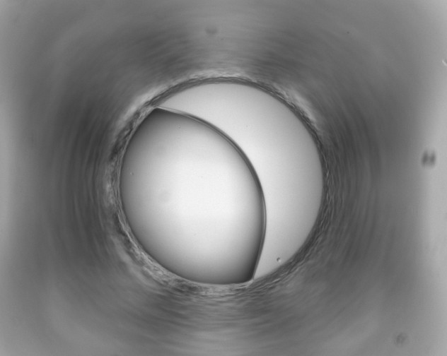 X0000091850684200709050936