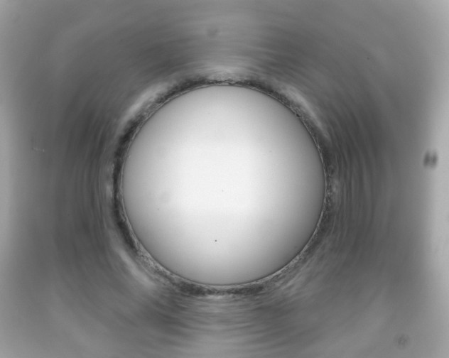 X0000091850686200709050936