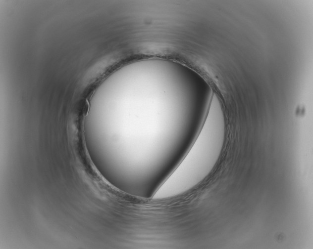 X0000091850688200709050936