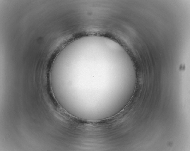 X0000091850690200709050936