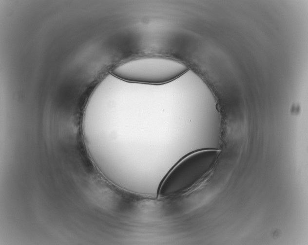 X0000091850691200709050936