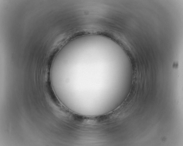 X0000091850694200709050936