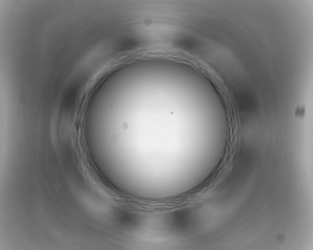 X0000091850695200709050936